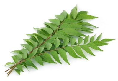 Curry Leaves Pack - Bombay Central