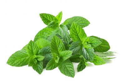 Mint Leaves - Bombay Central